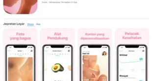 Kalkulator Kehamilan Cara Akurat Memantau Kehamilan Lewat Aplikasi